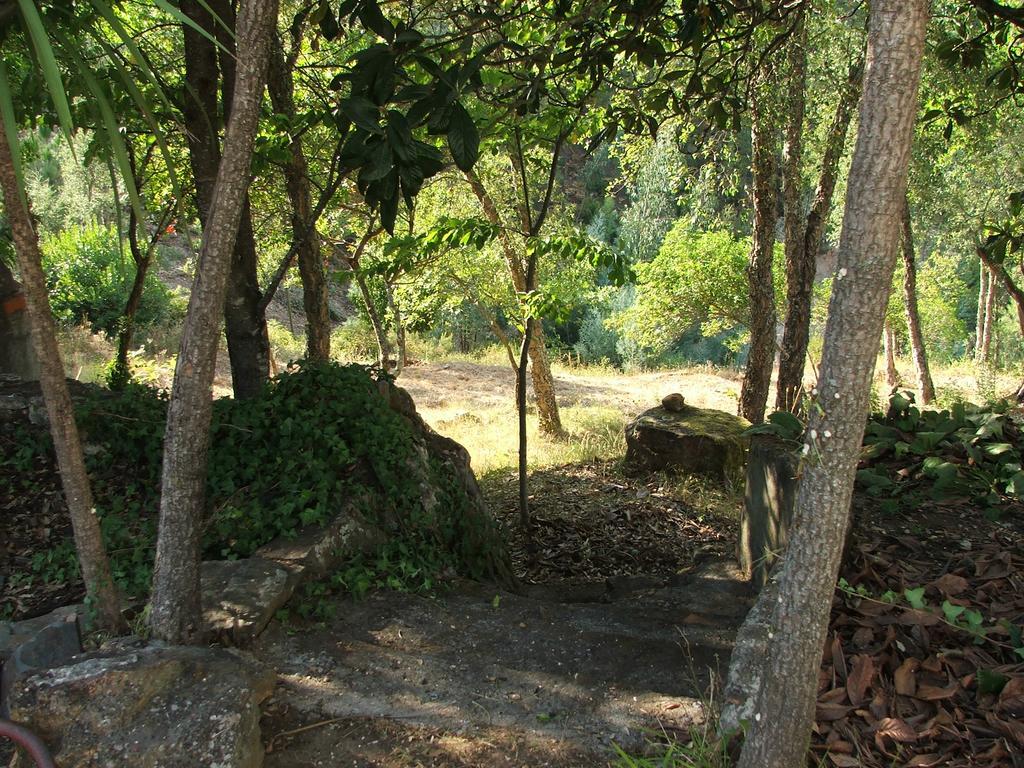 Chao Da Lousa Dornes Luaran gambar